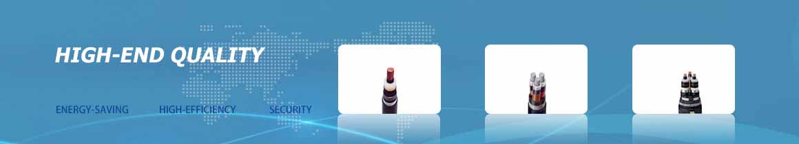 Products & Services